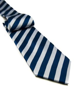 Blue and White Tie in Blue/White