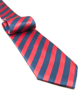tt_rebblue_stripe_a-med.jpg